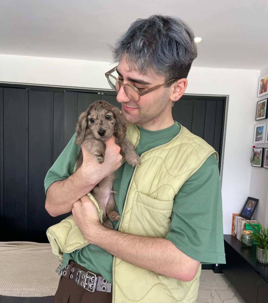 dachshund puppies for sale