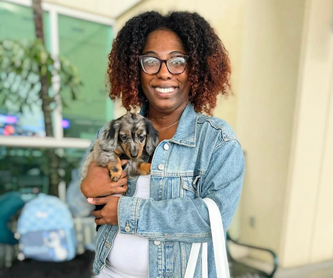 dachshund puppies for sale