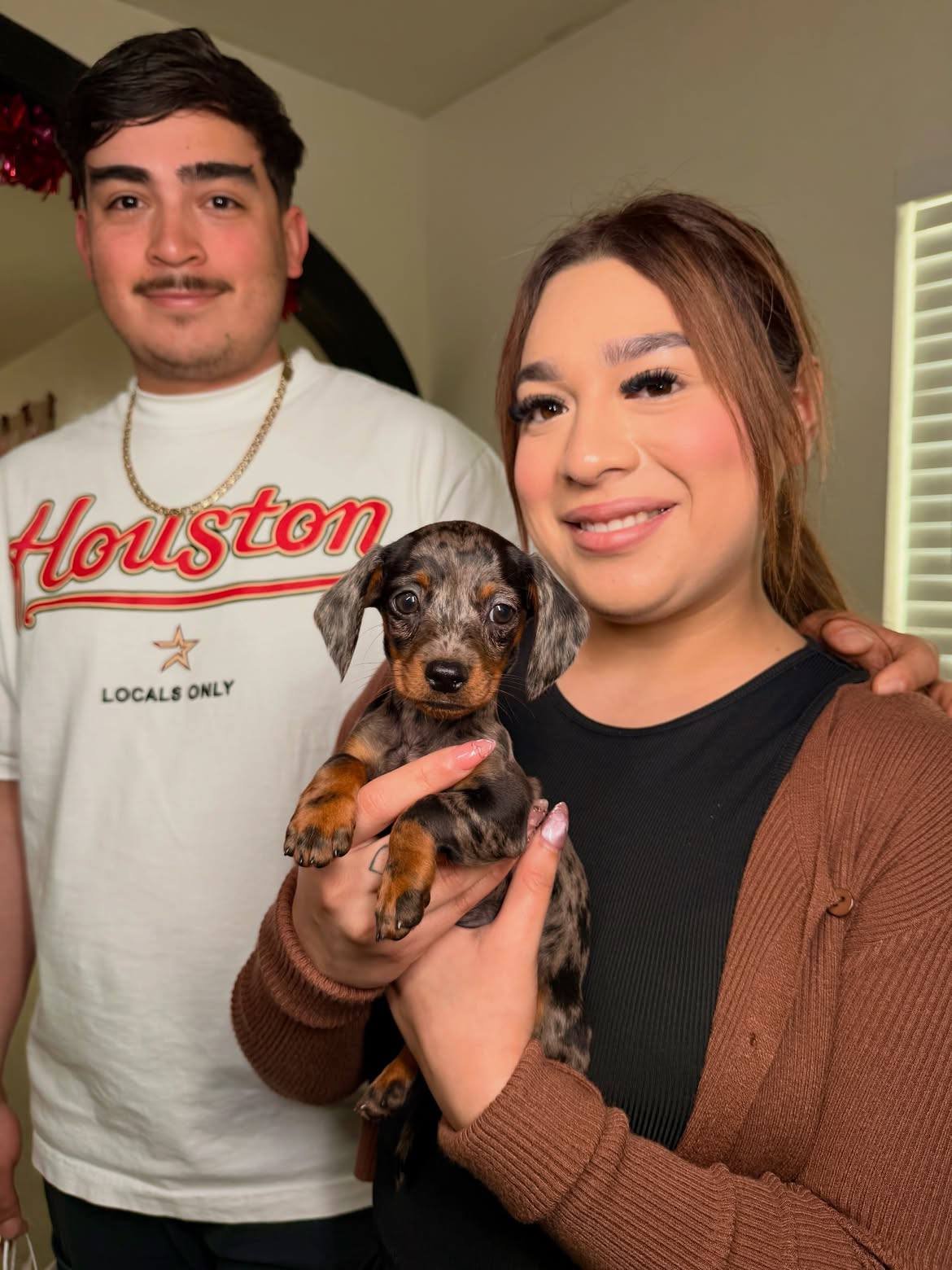 dachshund puppies for sale